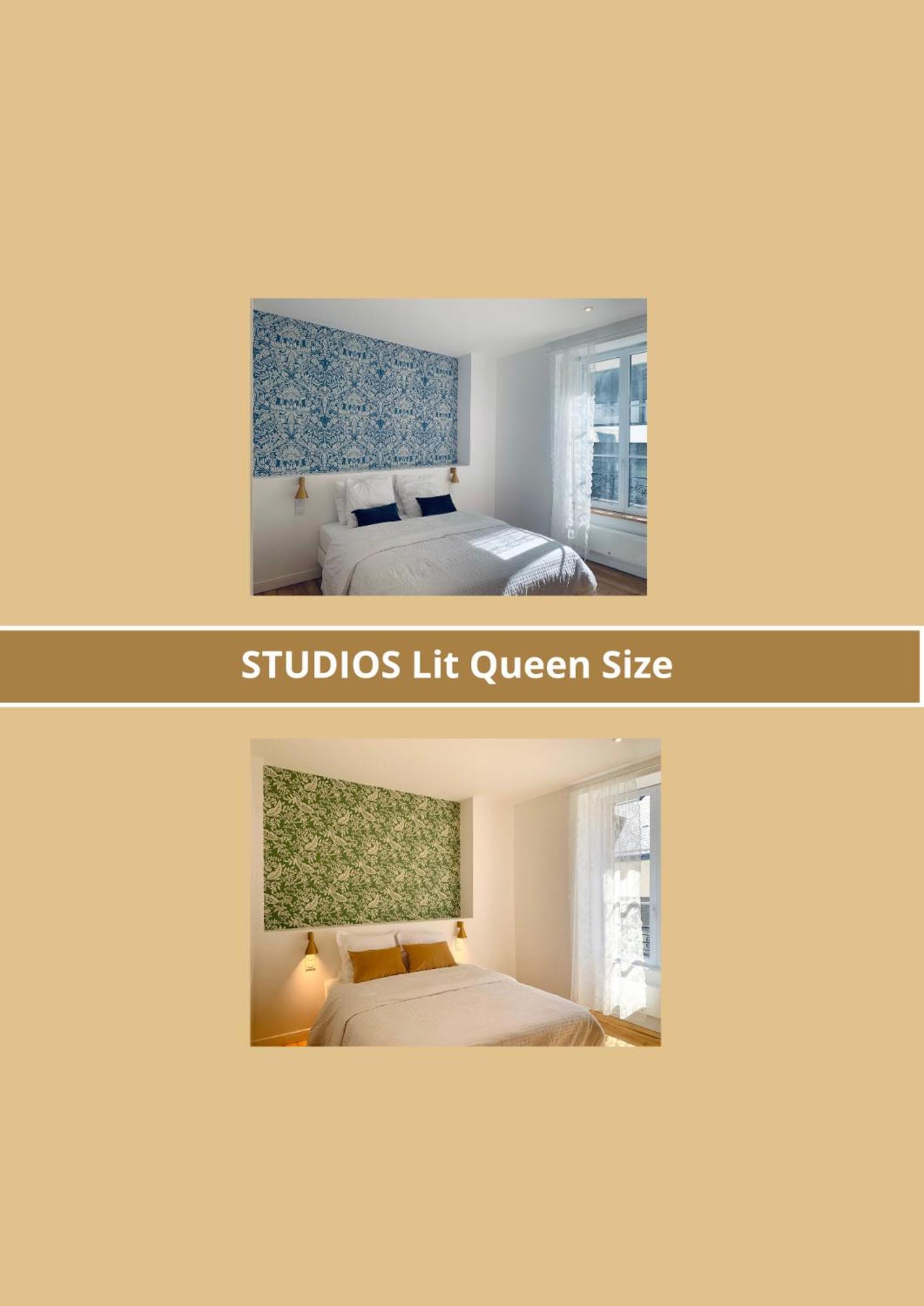 La Belle Odet' - Choix D'Appartements- Centre Ville-Quais カンペール エクステリア 写真