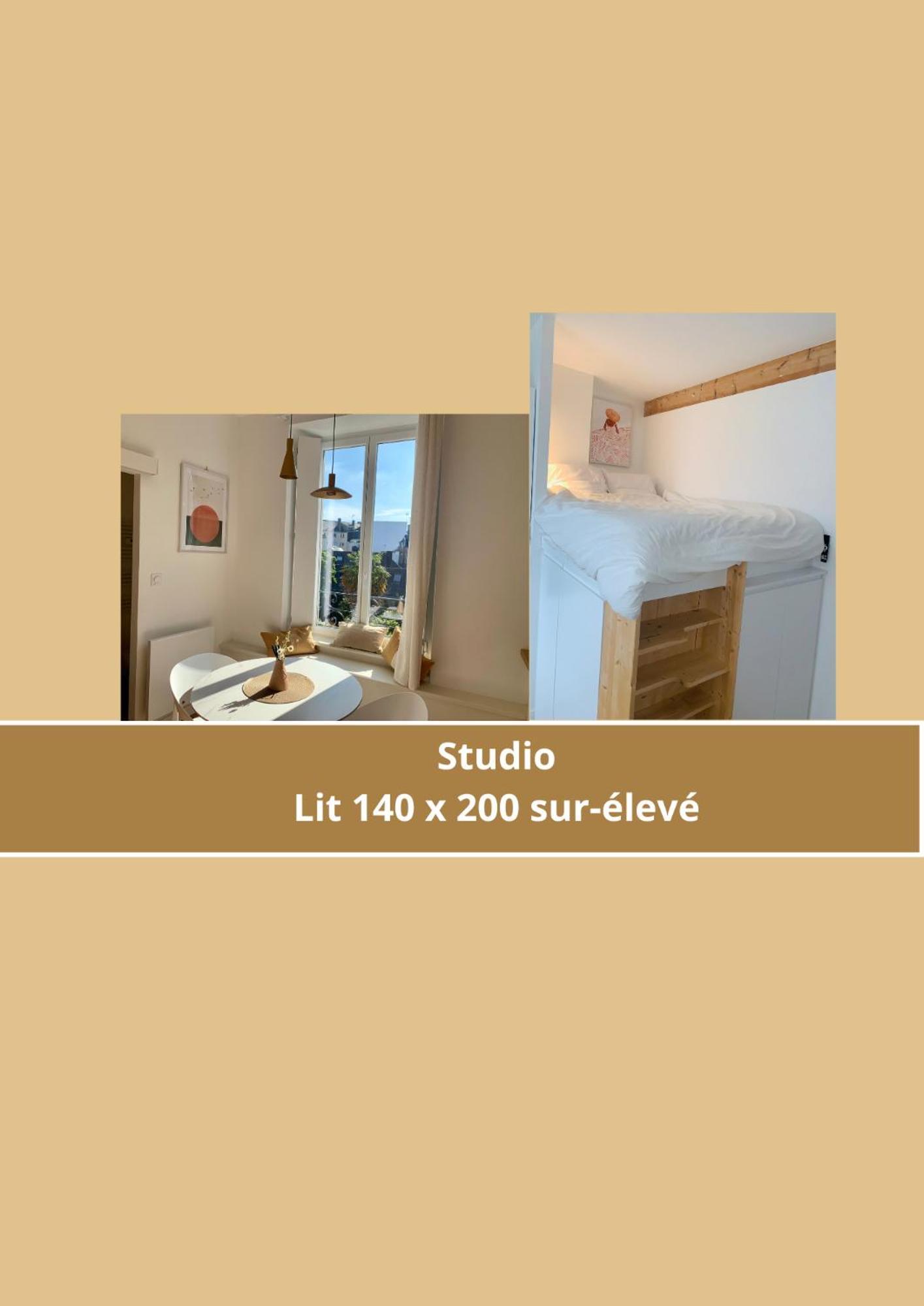 La Belle Odet' - Choix D'Appartements- Centre Ville-Quais カンペール エクステリア 写真